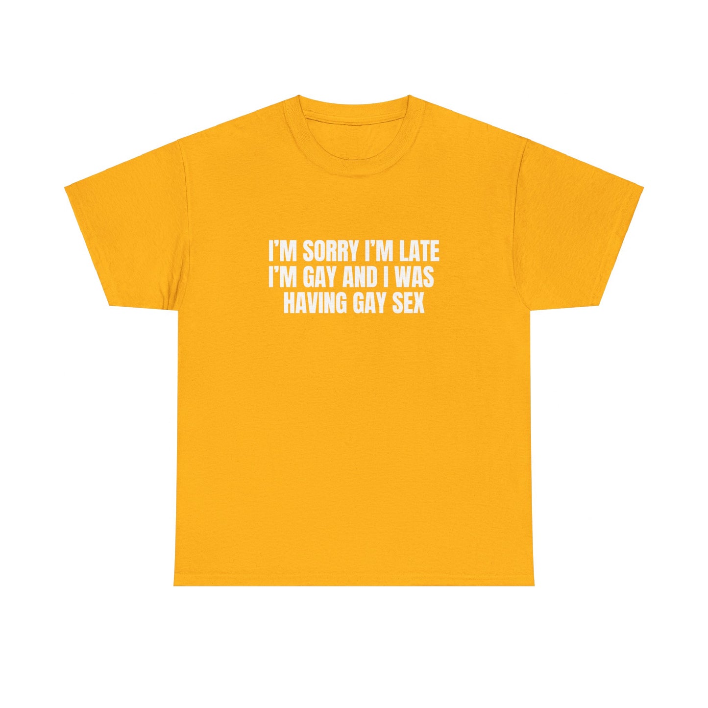 Gay Sex T-Shirt