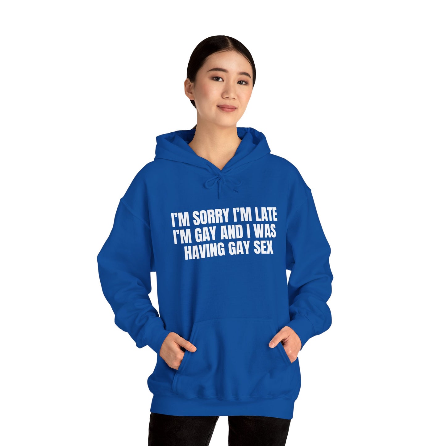 Gay Sex Hoodie