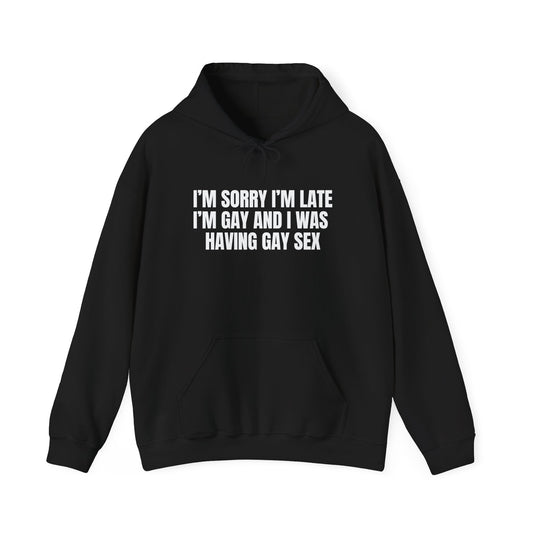 Gay Sex Hoodie