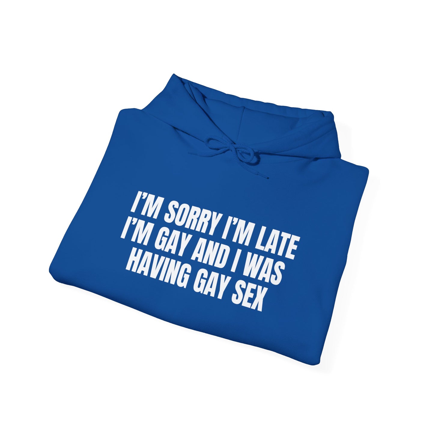 Gay Sex Hoodie