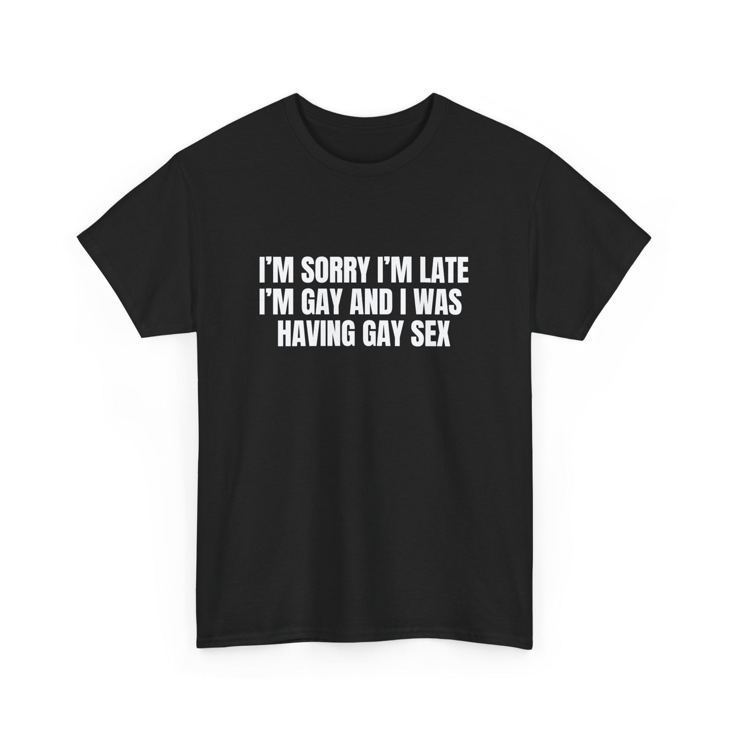 Gay Sex T-Shirt