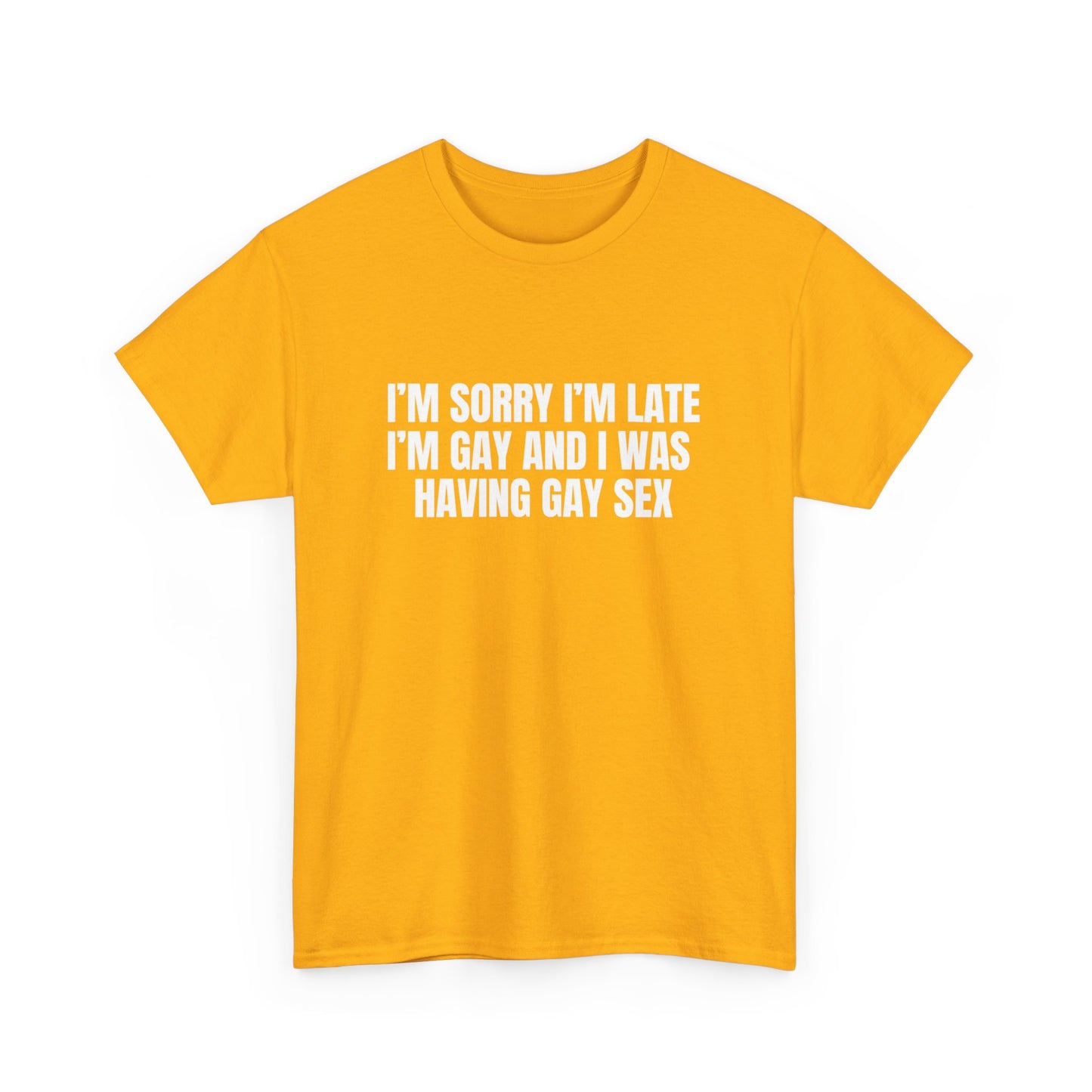 Gay Sex T-Shirt