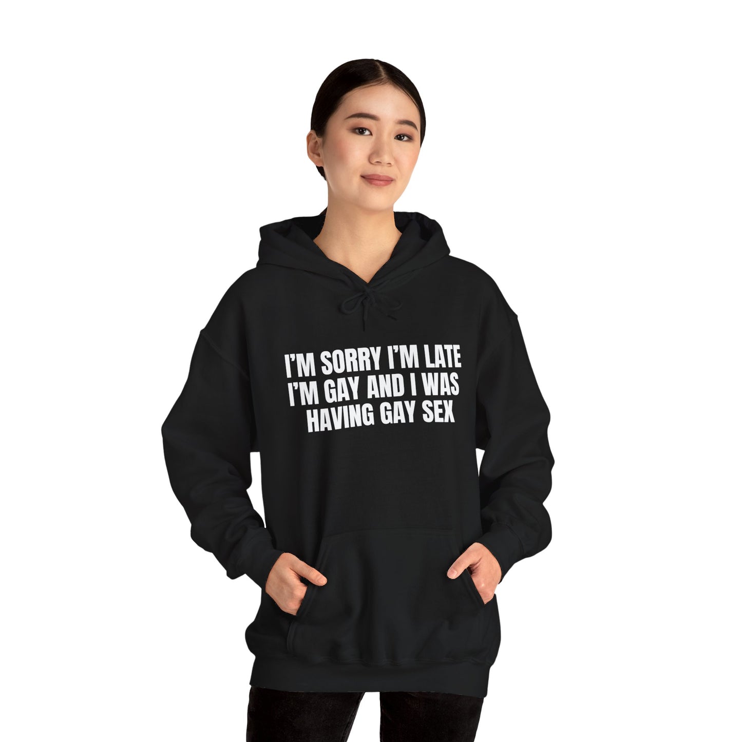 Gay Sex Hoodie