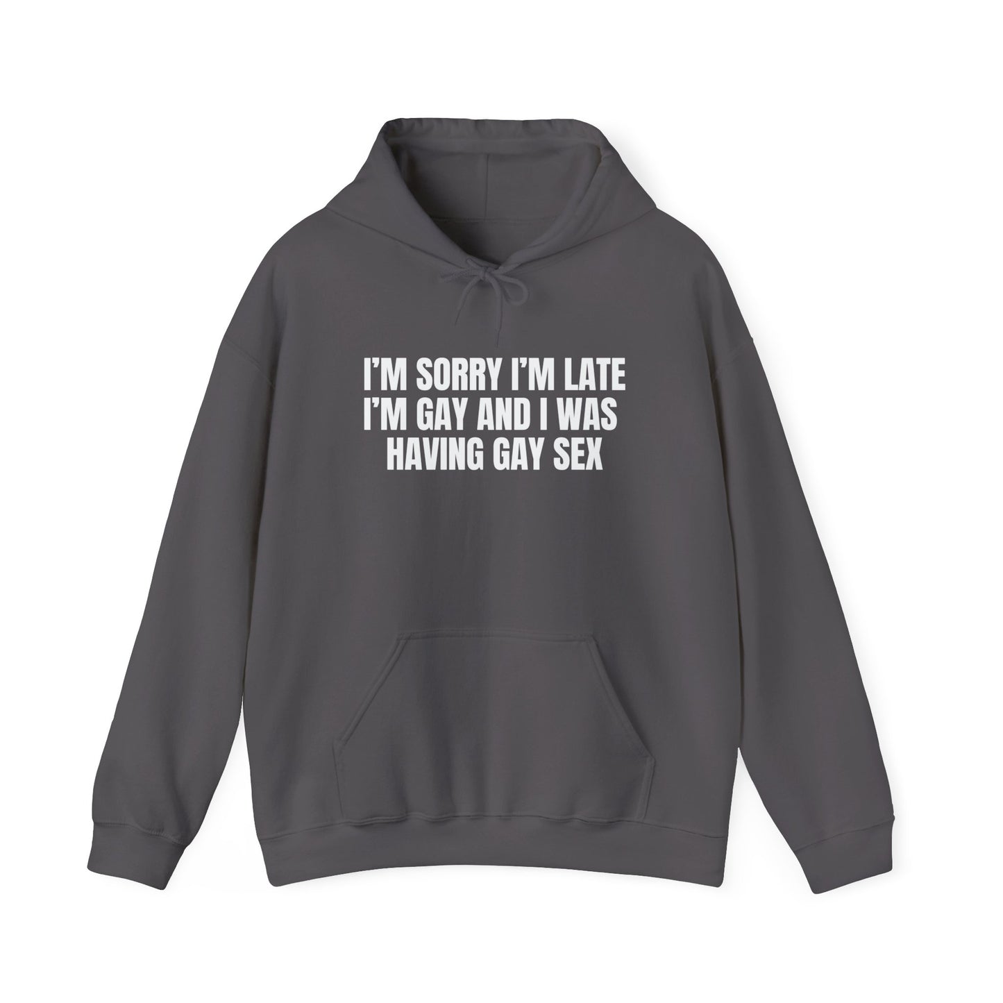 Gay Sex Hoodie